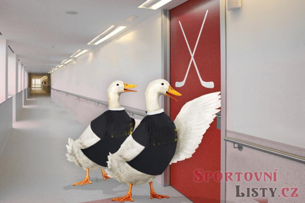 Předseda hokejového svazu tasí trumf na trenéra reprezentace Předseda hokejového svazu tasí trumf na trenéra reprezentace